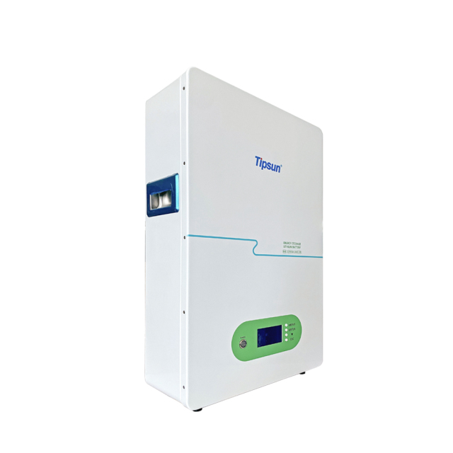 Wall Mounted Battery