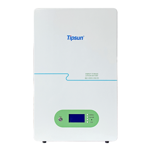 Wall Mounted Battery