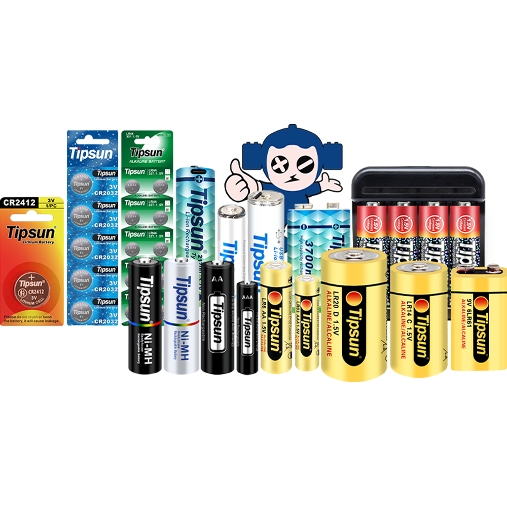 Household battery
