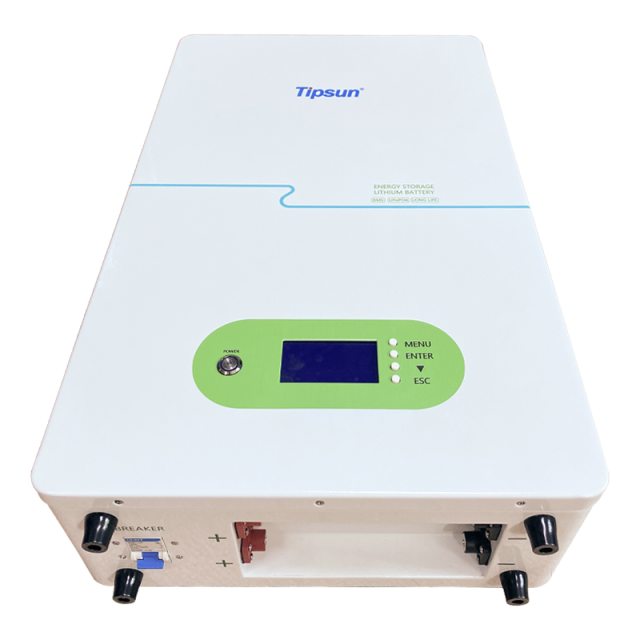 Wall Mounted Battery