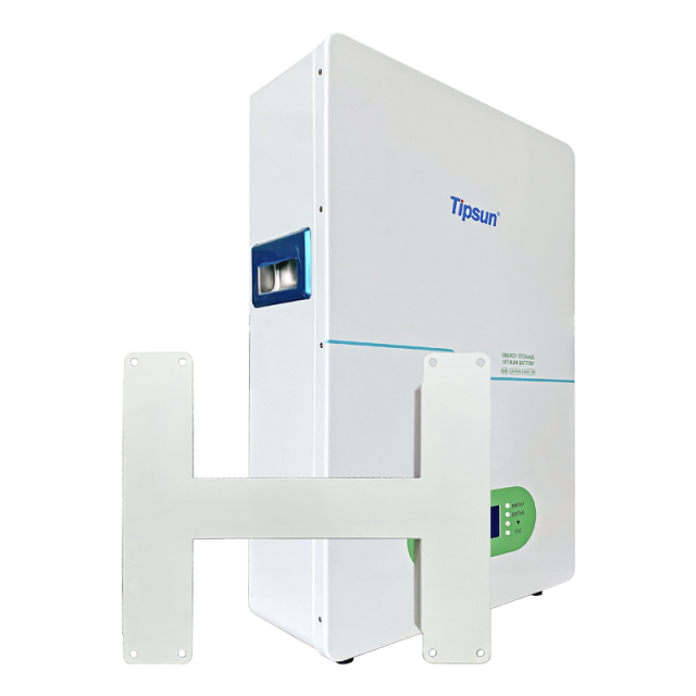 Wall Mounted Battery