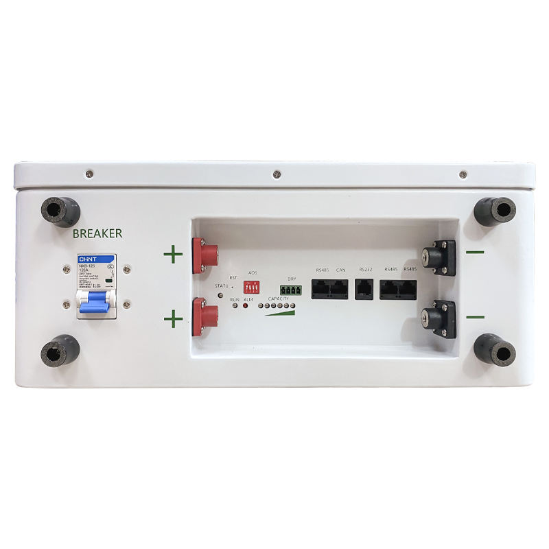 Wall Mounted Battery