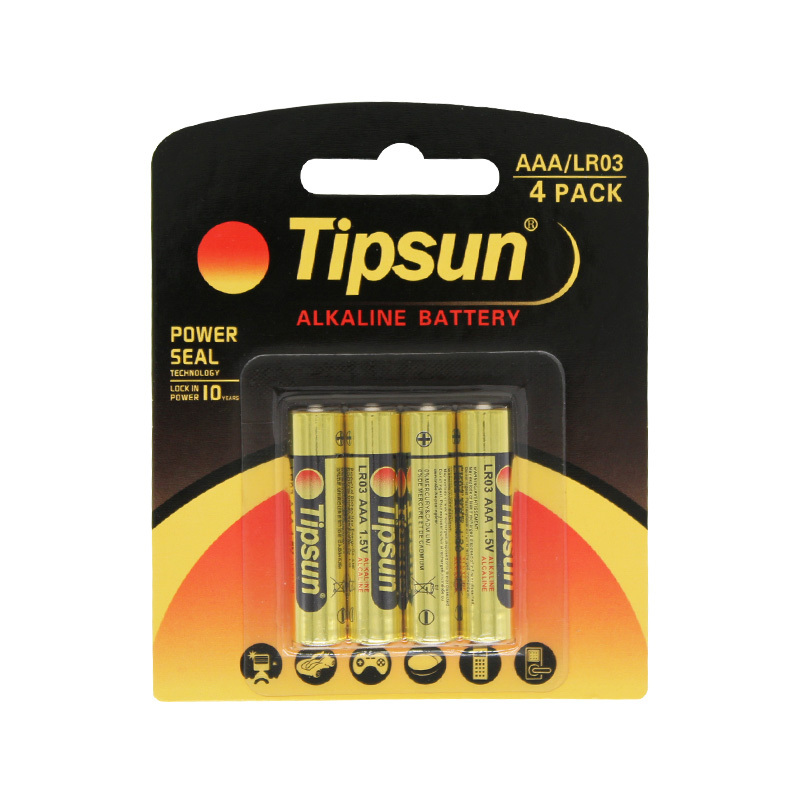 Household battery