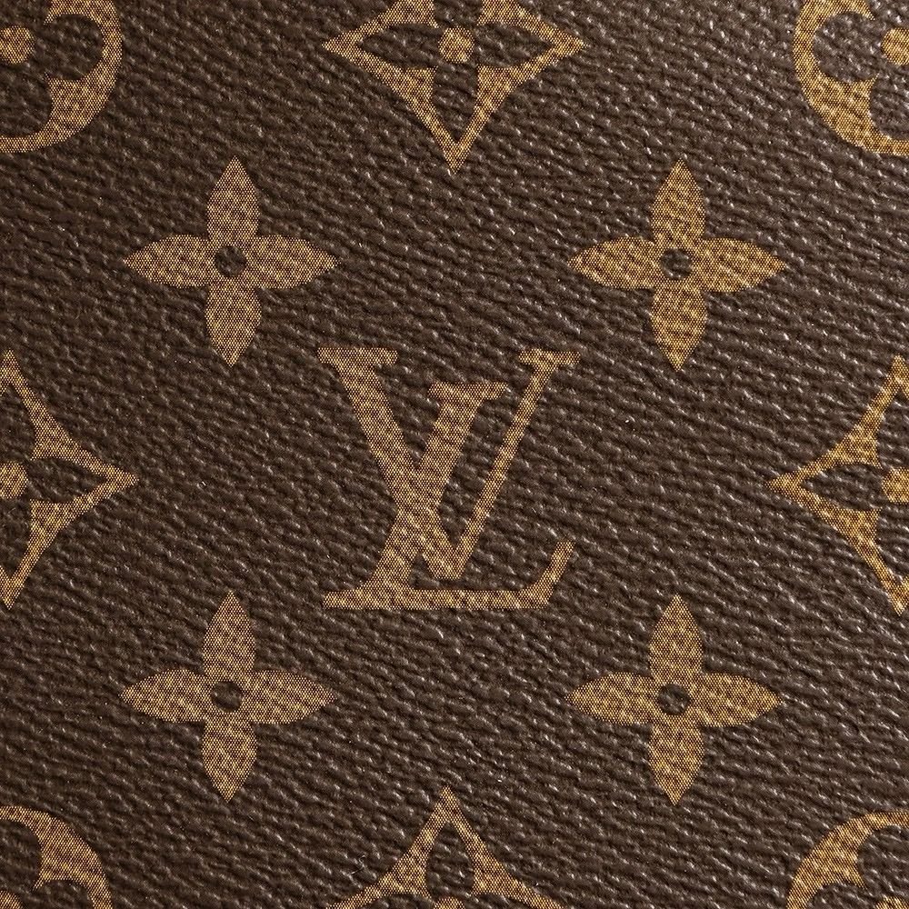 LV Slouchy Underarm Bag
