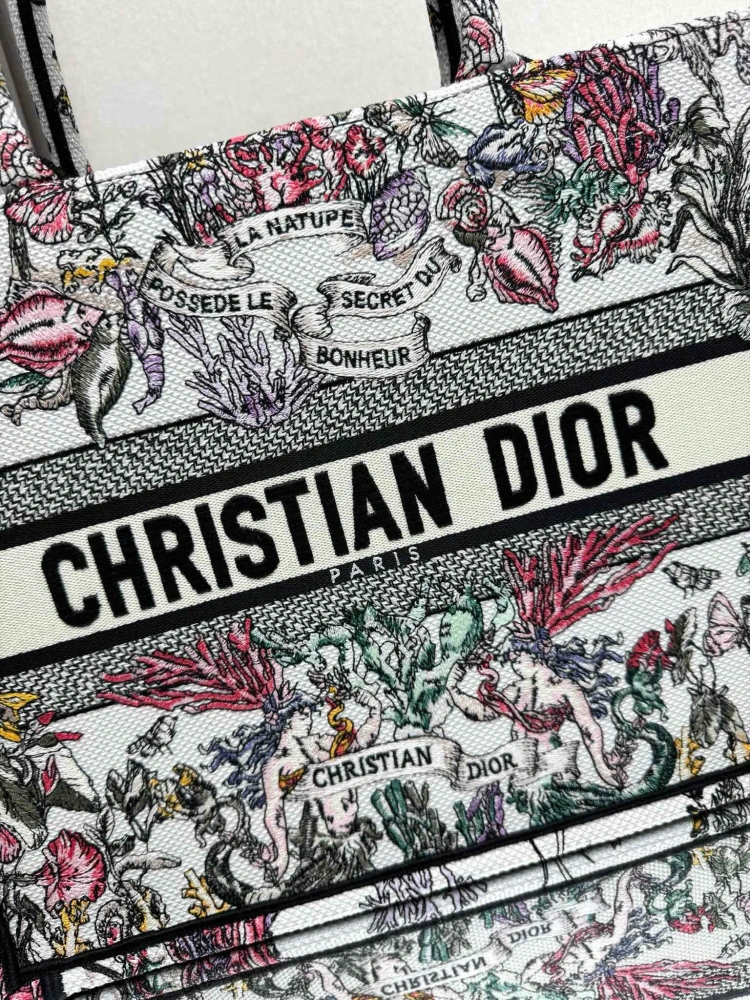 DIOR book tote