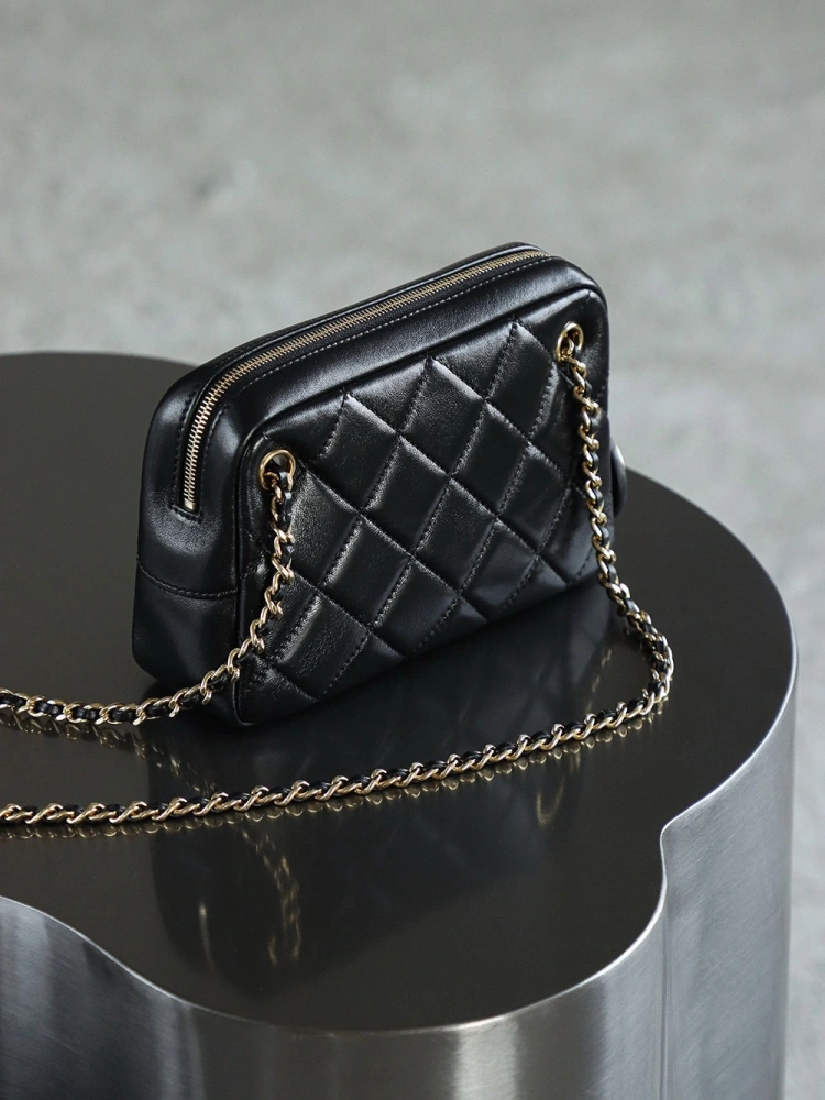 Chanel 24K Gold Coin Camera Bag Small