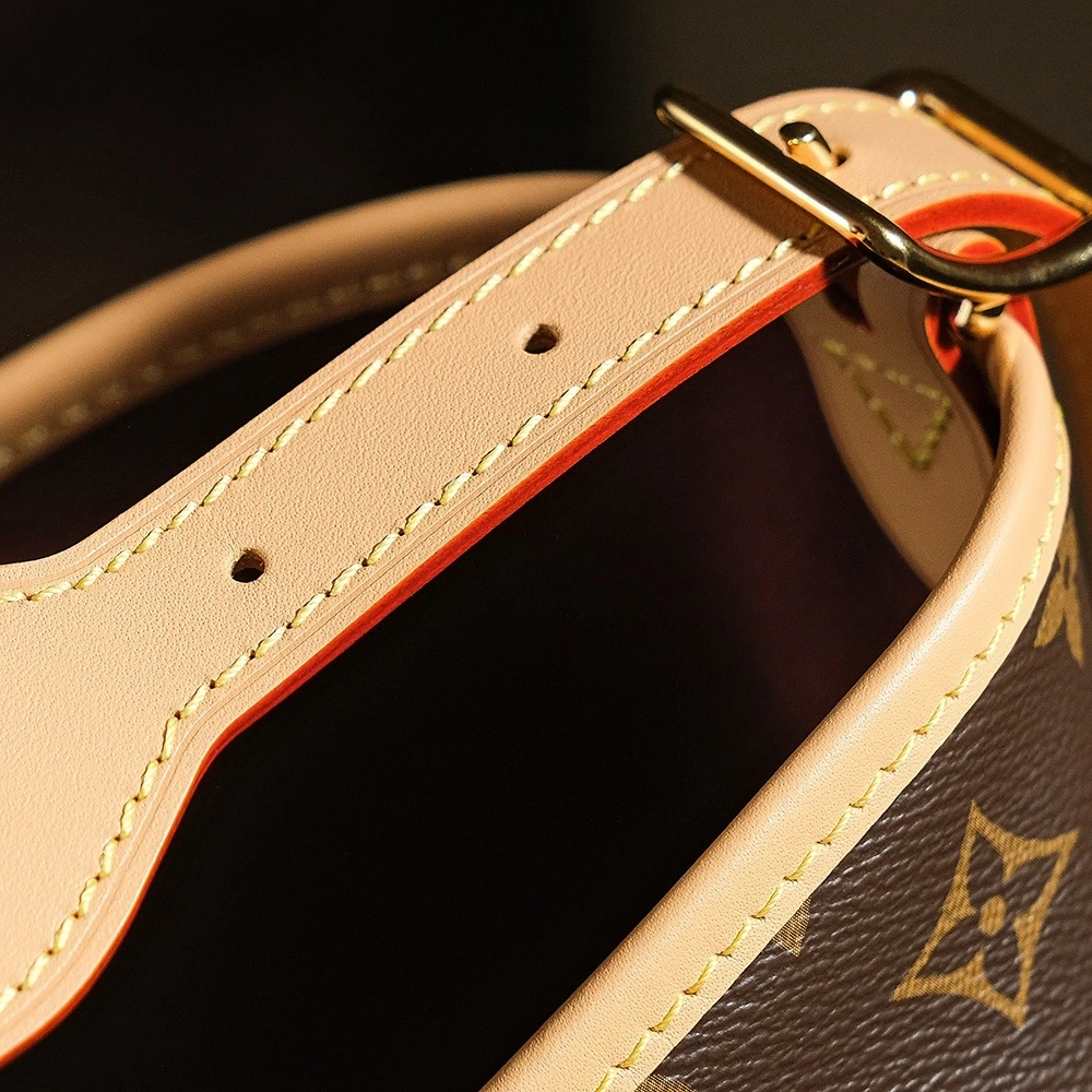LV M46203carryall small handbag