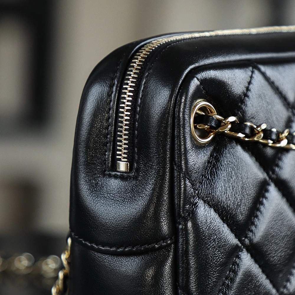 Chanel 24K Gold Coin Camera Bag Small