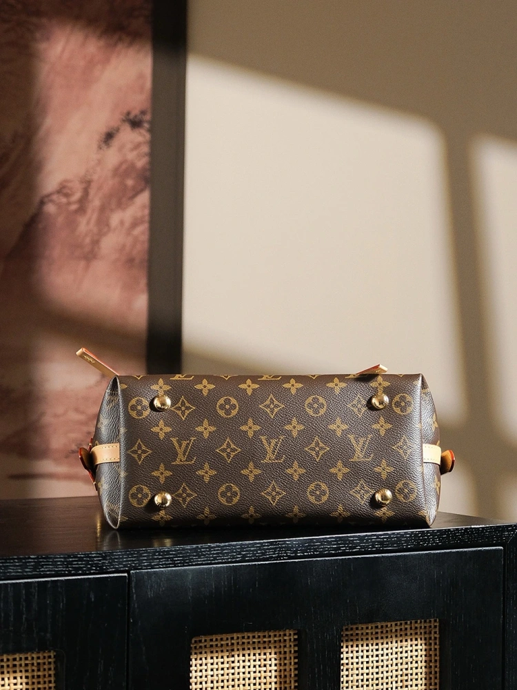 LV M46203carryall small handbag
