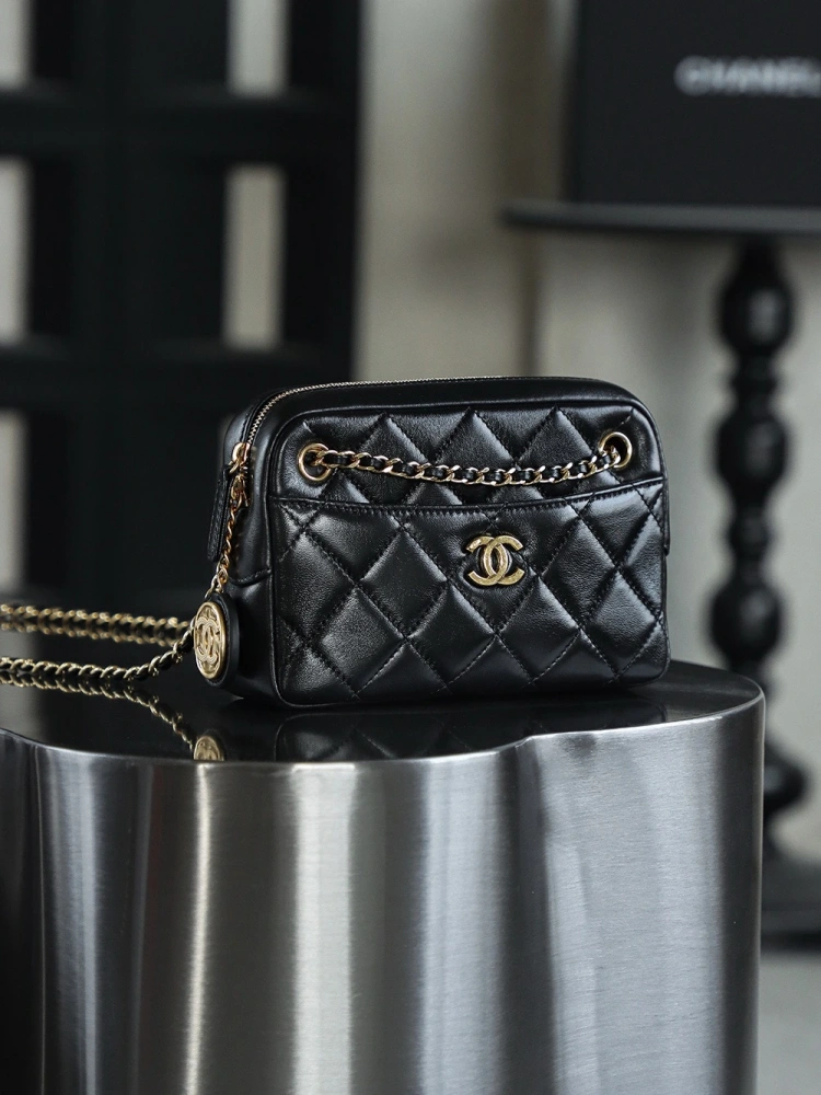 Chanel 24K Gold Coin Camera Bag Small