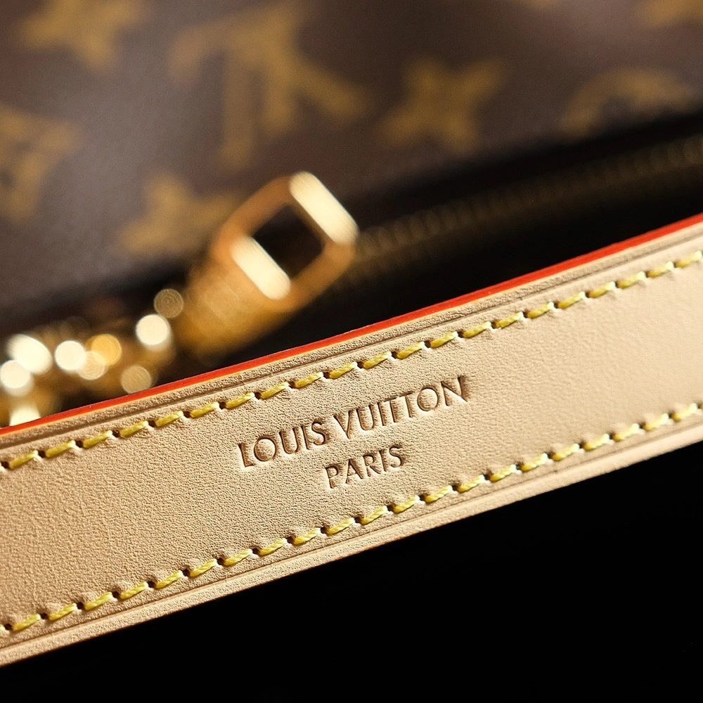 LV Slouchy Underarm Bag