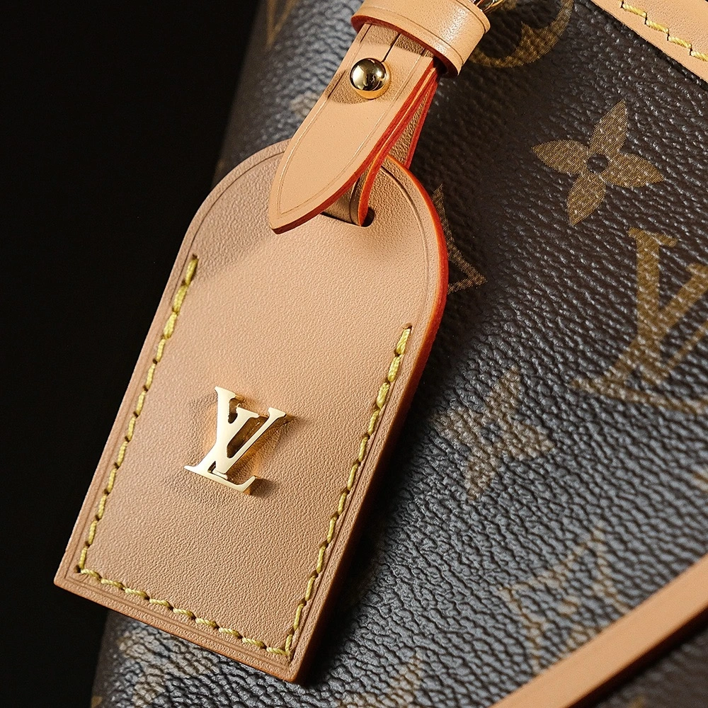 LV M46203carryall small handbag