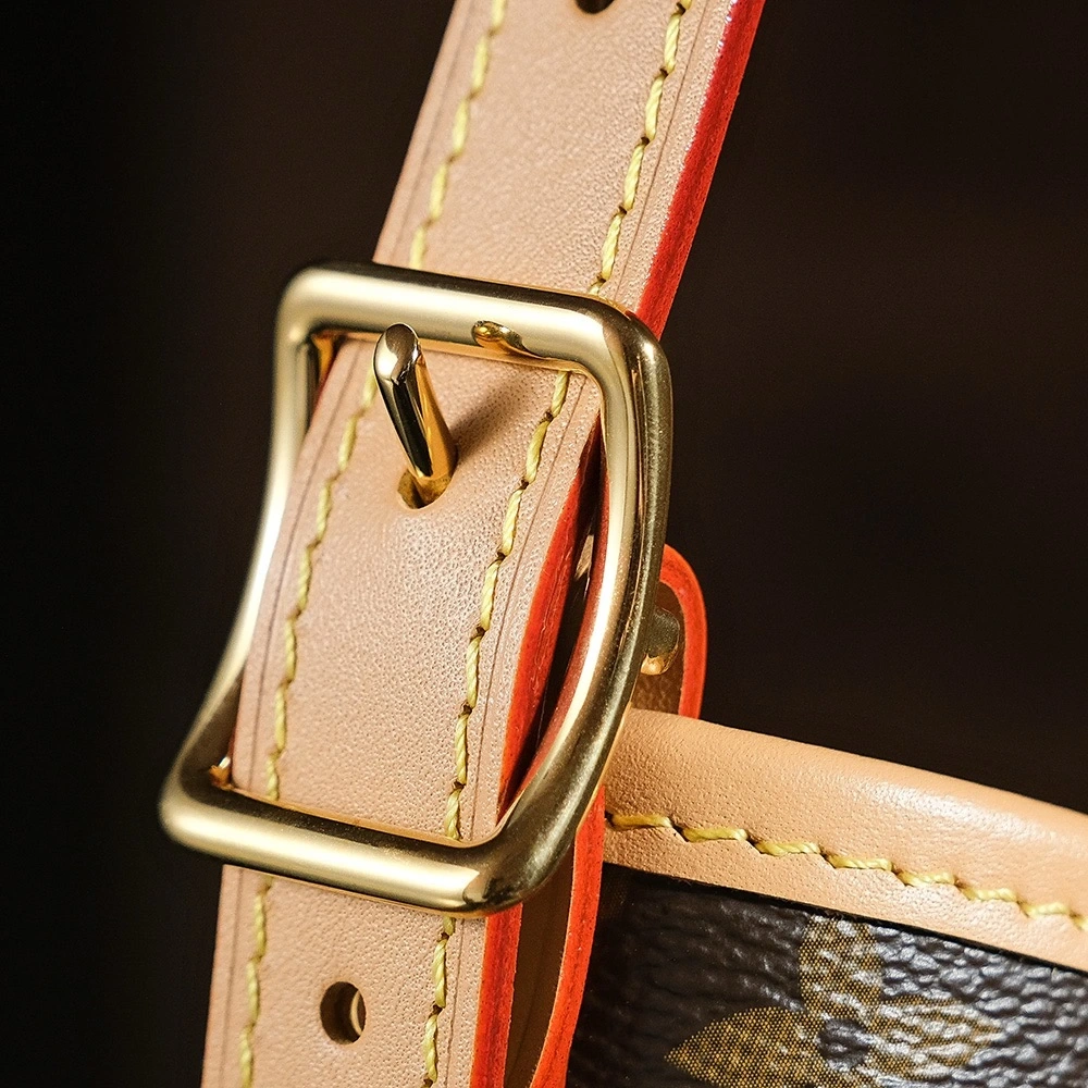 LV M46203carryall small handbag