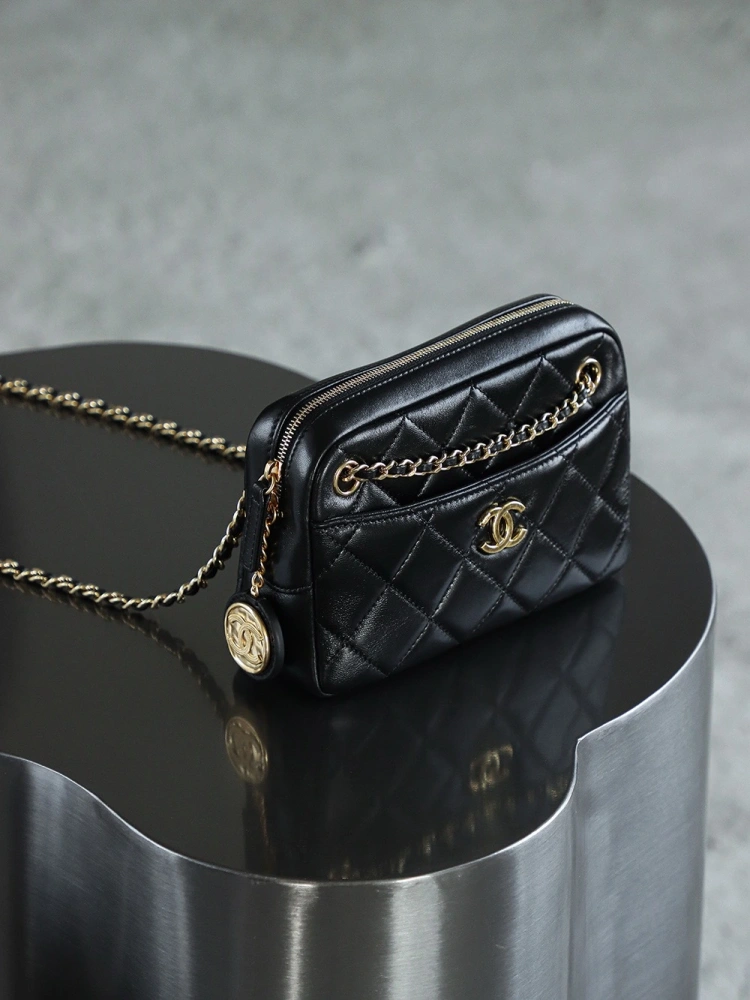 Chanel 24K Gold Coin Camera Bag Small
