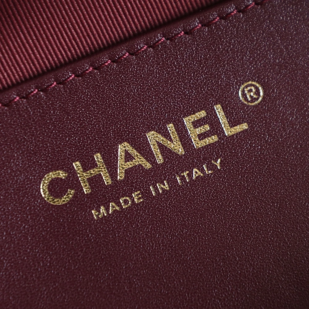Chanel 24K Gold Coin Camera Bag Small