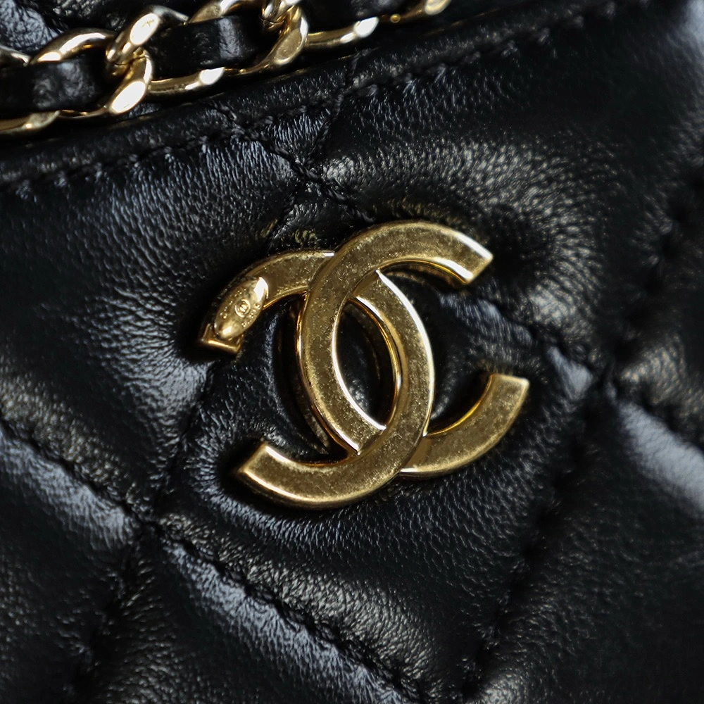 Chanel 24K Gold Coin Camera Bag Small