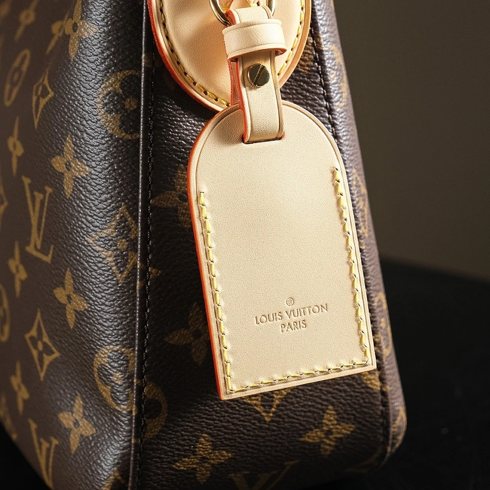 LV Slouchy Underarm Bag