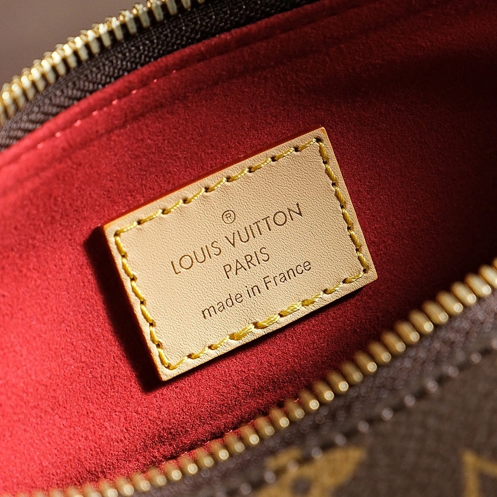 LV Slouchy Underarm Bag