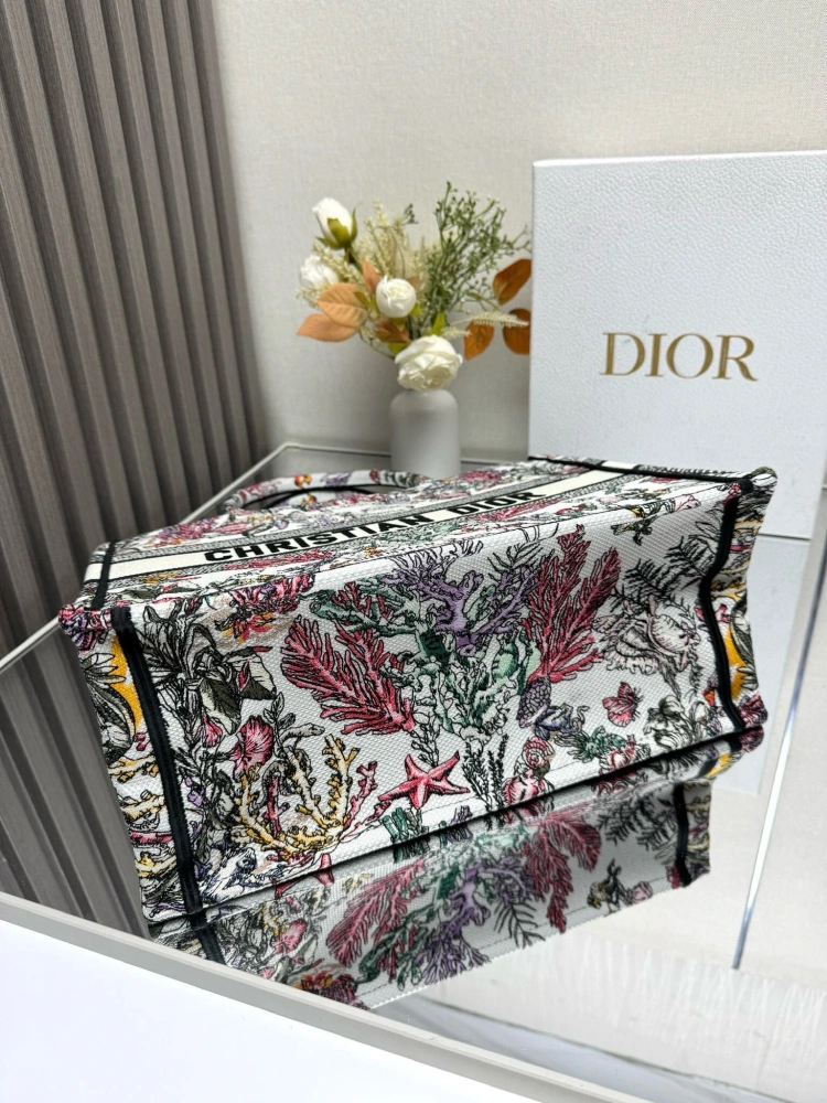 DIOR book tote