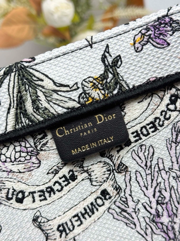 DIOR book tote