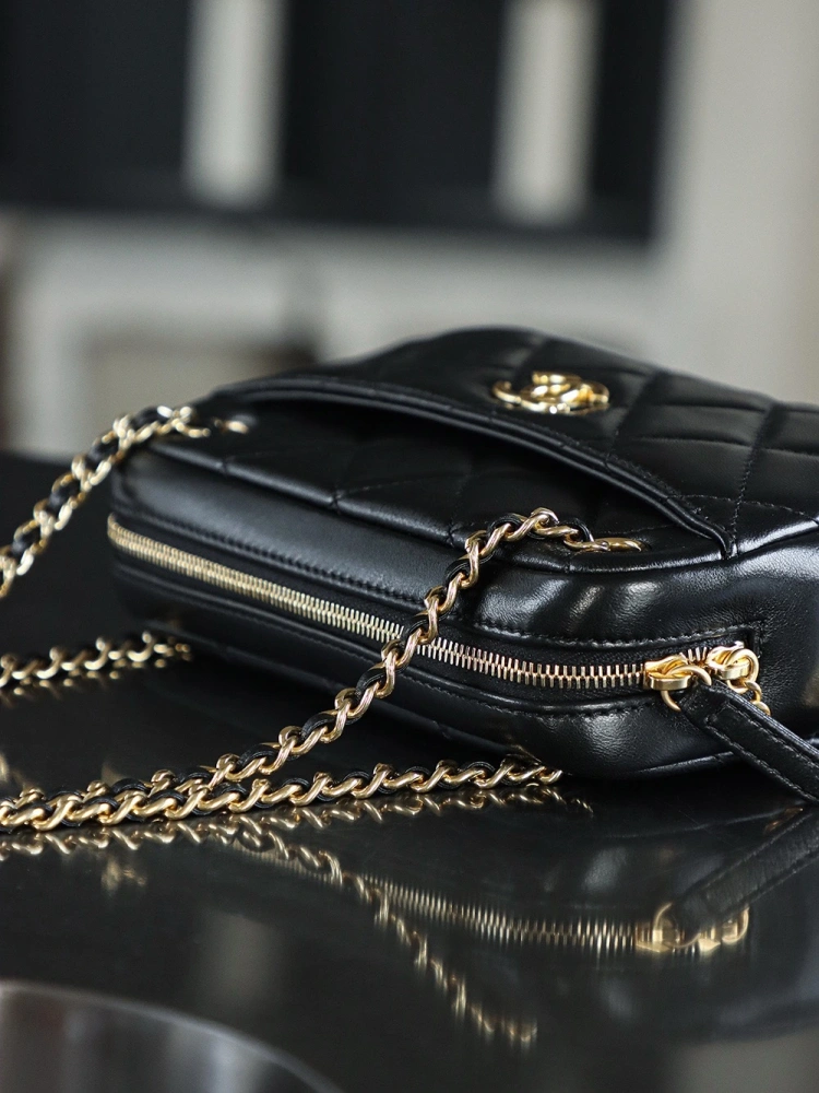 Chanel 24K Gold Coin Camera Bag Small