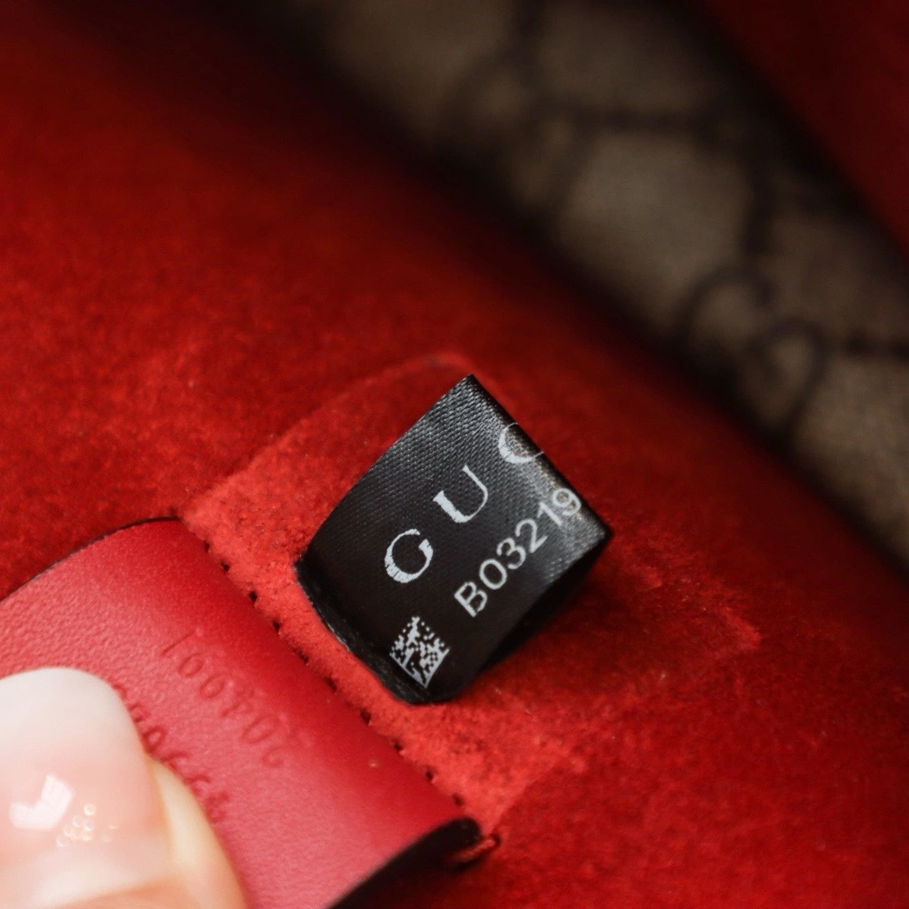 gucci Dionysus GG red