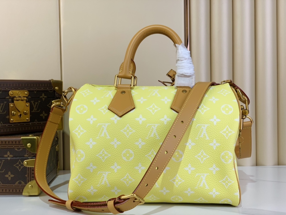 SPEEDY P9 BANDOULIÈRE30 Bag
