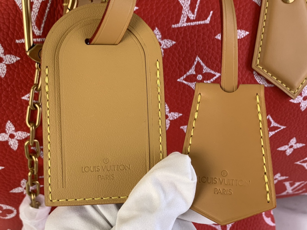 SPEEDY P9 BANDOULIÈRE30 Bag