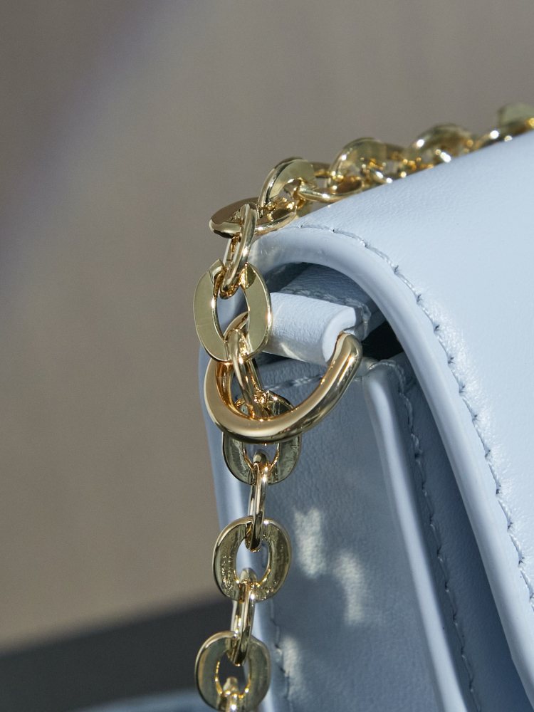 LOUIS VUITTON WALLET ON CHAIN LV BLOOM M14547 (20*11*4cm)