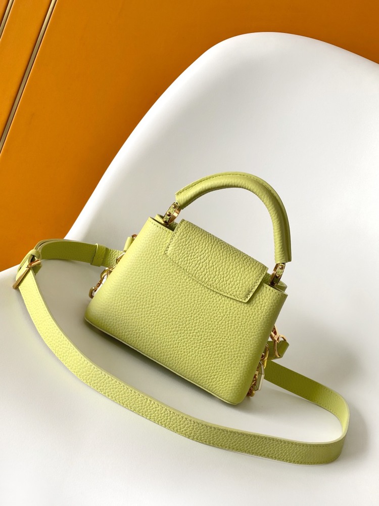 LOUIS VUITTON CAPUCINES MINI M25232 (21*14*8cm)