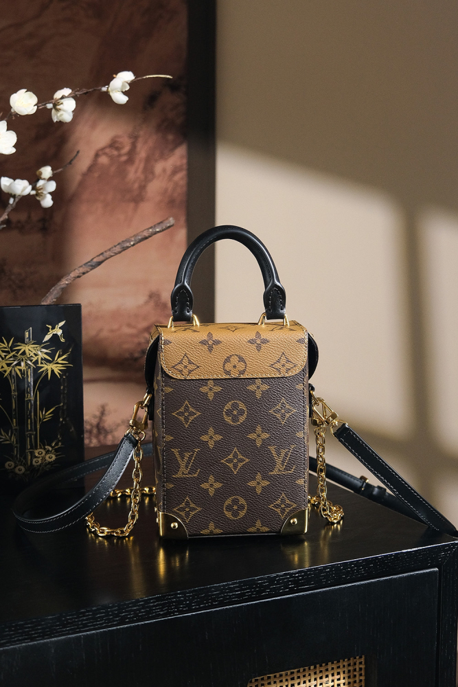 LOUIS VUITTON CAMERA BOX M82465 (18*12*6cm)