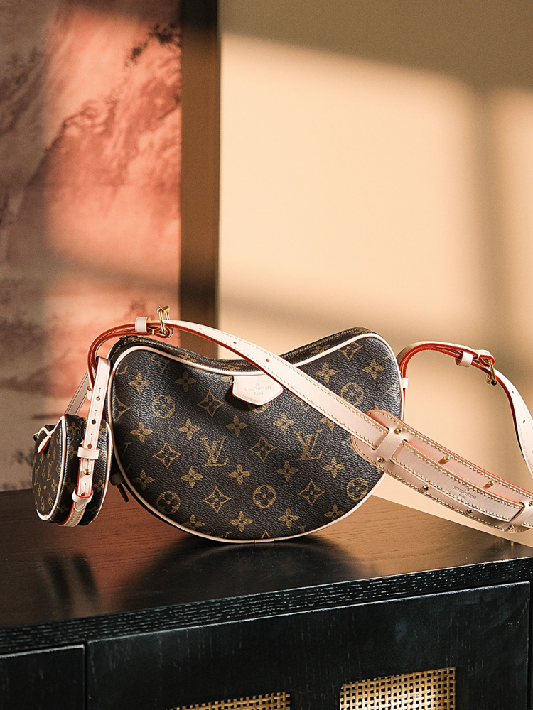 LOUIS VUITTON CROISSANT MM M46828 (25*15*5cm)