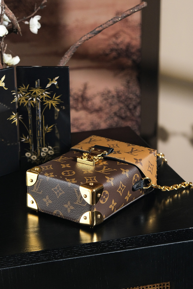 LOUIS VUITTON CAMERA BOX M82465 (18*12*6cm)