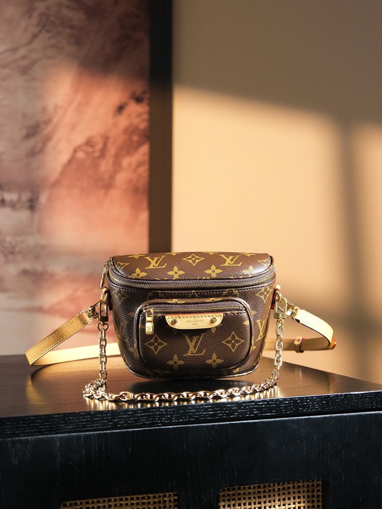 LOUIS VUITTON MINI BUMBAG M82335 (17*12*9cm)