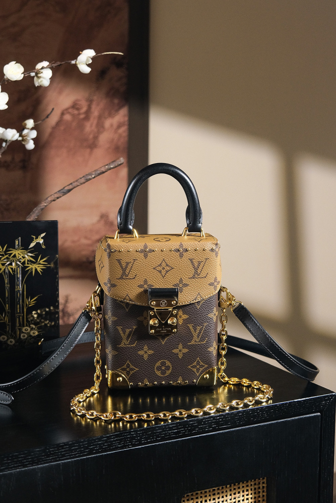 LOUIS VUITTON CAMERA BOX M82465 (18*12*6cm)