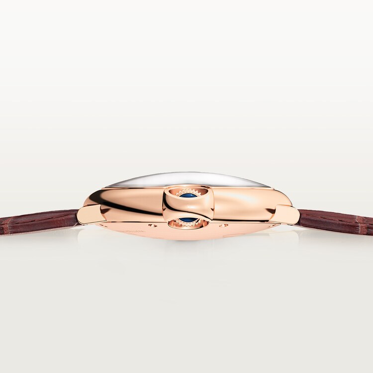 Ballon Bleu de Cartier W6900456