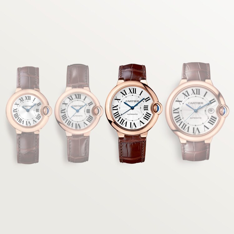 Ballon Bleu de Cartier W6900456