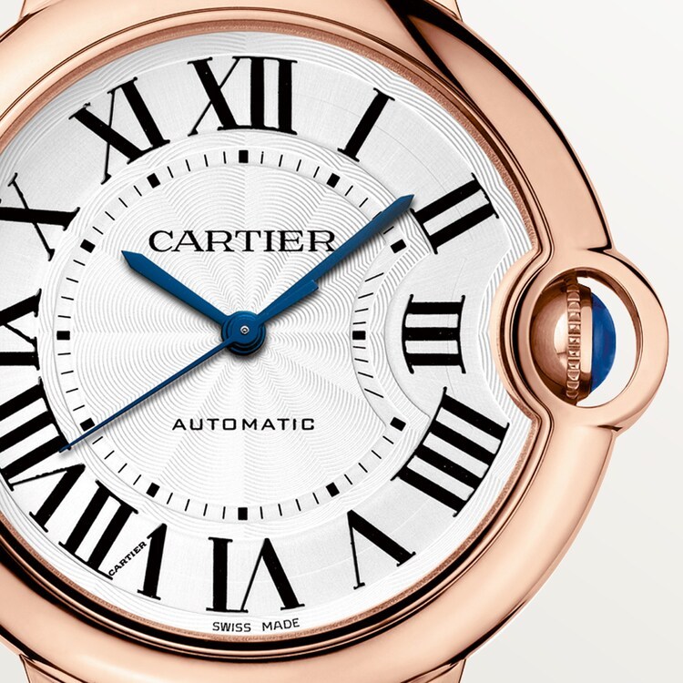 Ballon Bleu de Cartier W6900456