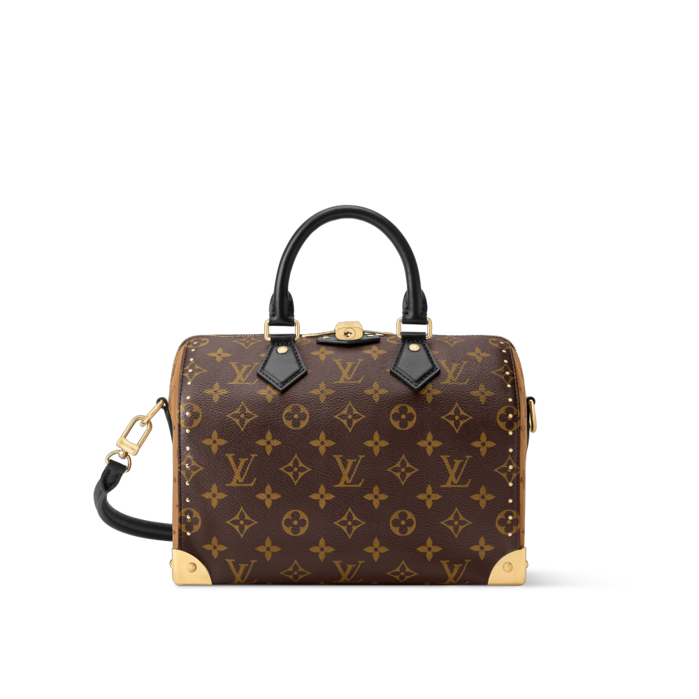 LV SPEEDY TRUNK 25 Bag