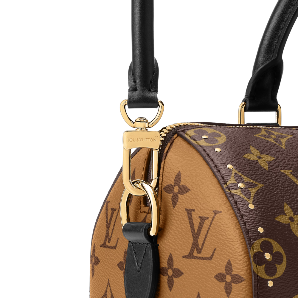 LV SPEEDY TRUNK 25 Bag