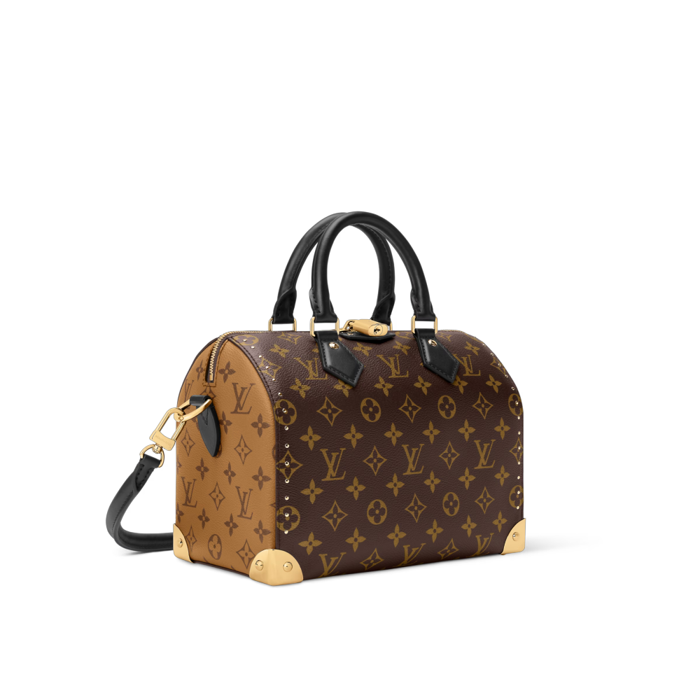 LV SPEEDY TRUNK 25 Bag