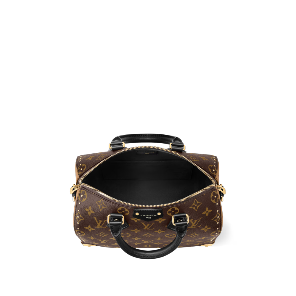 LV SPEEDY TRUNK 25 Bag