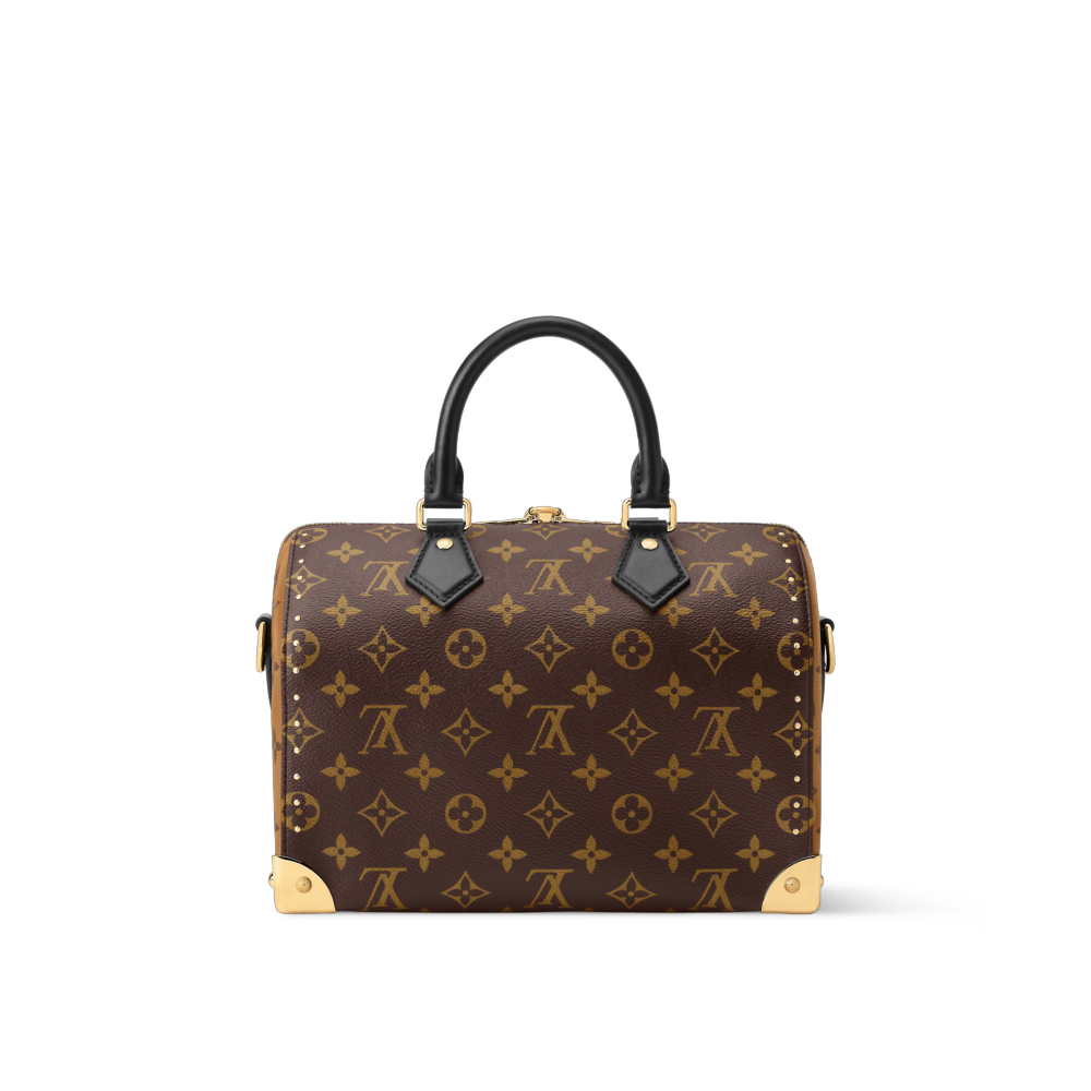 LV SPEEDY TRUNK 25 Bag