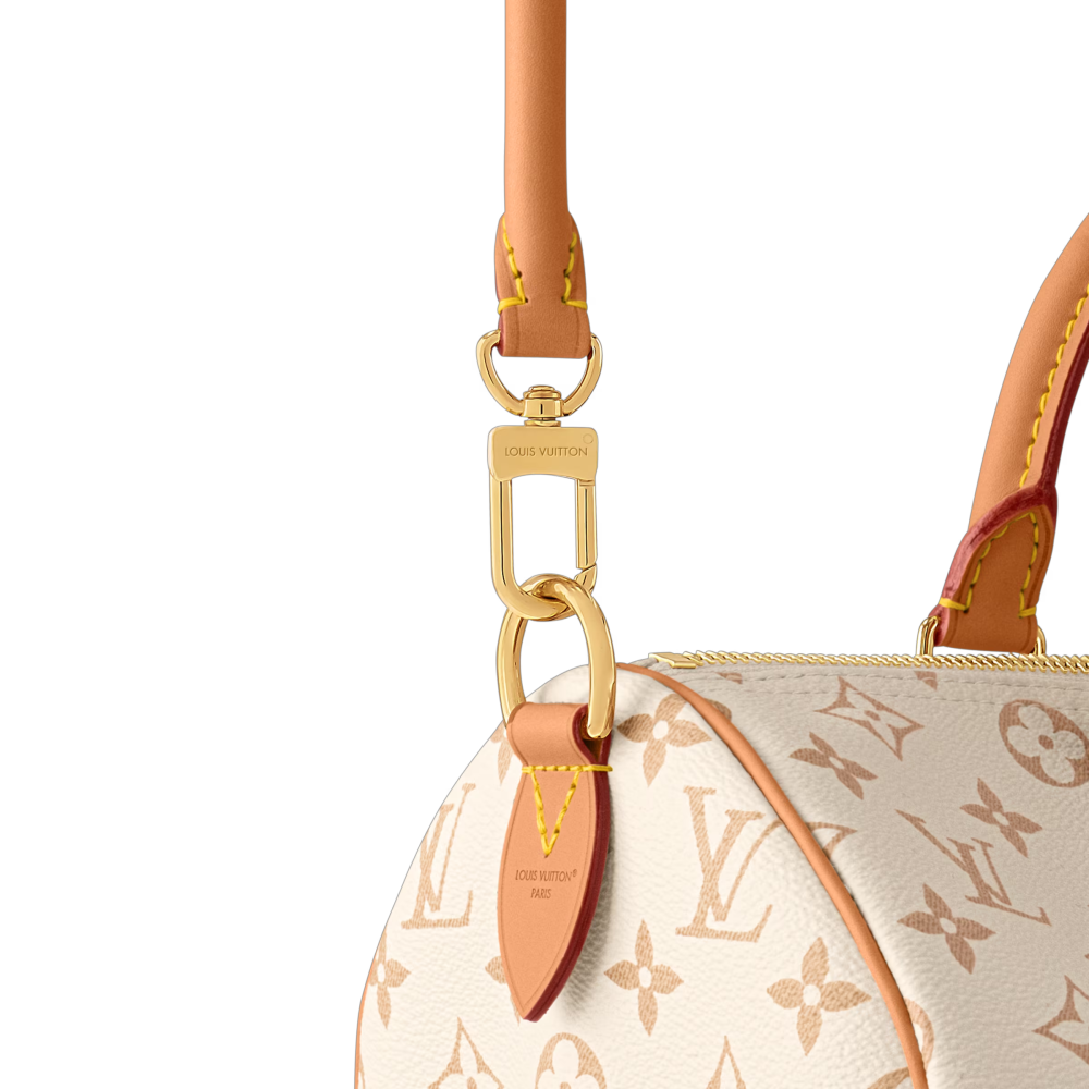 LV SPEEDY SOFT 30 LUCKY Bag