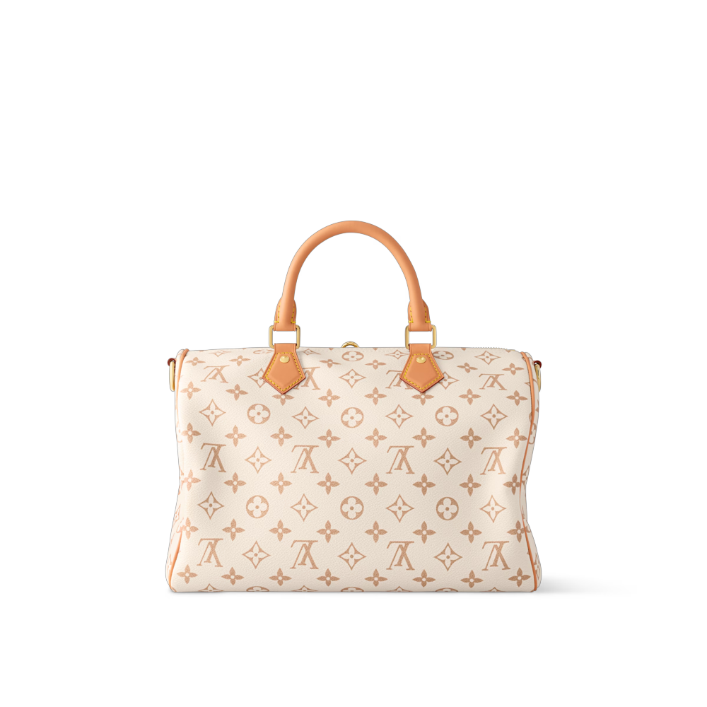 LV SPEEDY SOFT 30 LUCKY Bag