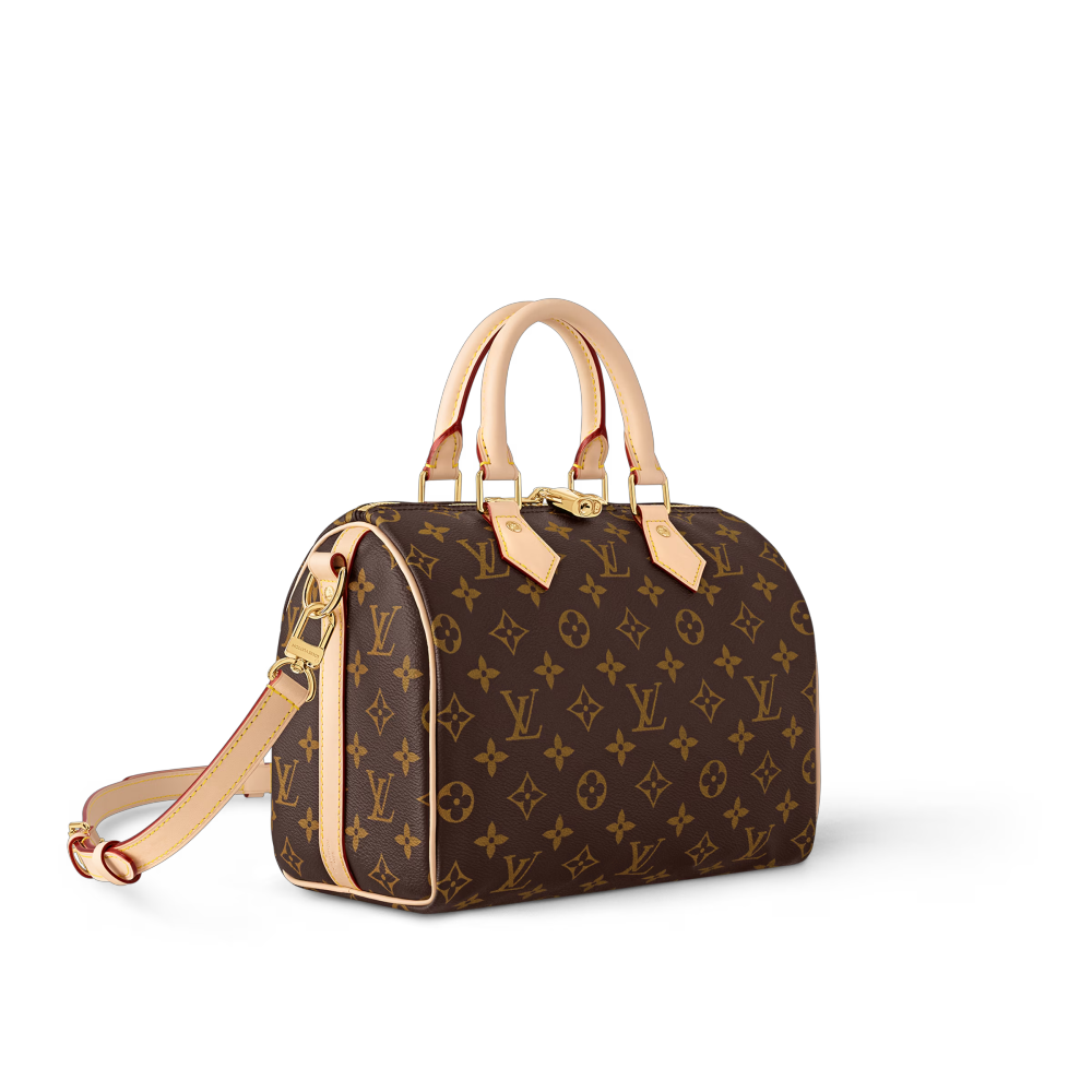LV SPEEDY BANDOULIÈRE 25 Bag