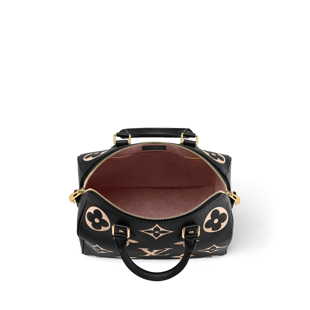 LV SPEEDY BANDOULIÈRE 25 Bag
