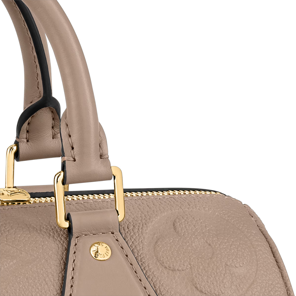 LV SPEEDY BANDOULIÈRE 25 Bag