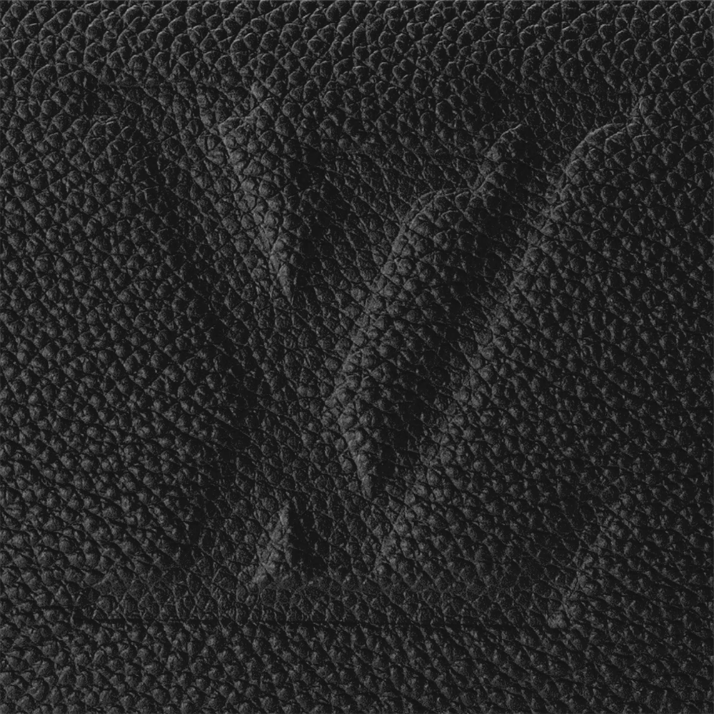 LV SPEEDY BANDOULIÈRE 25 Bag