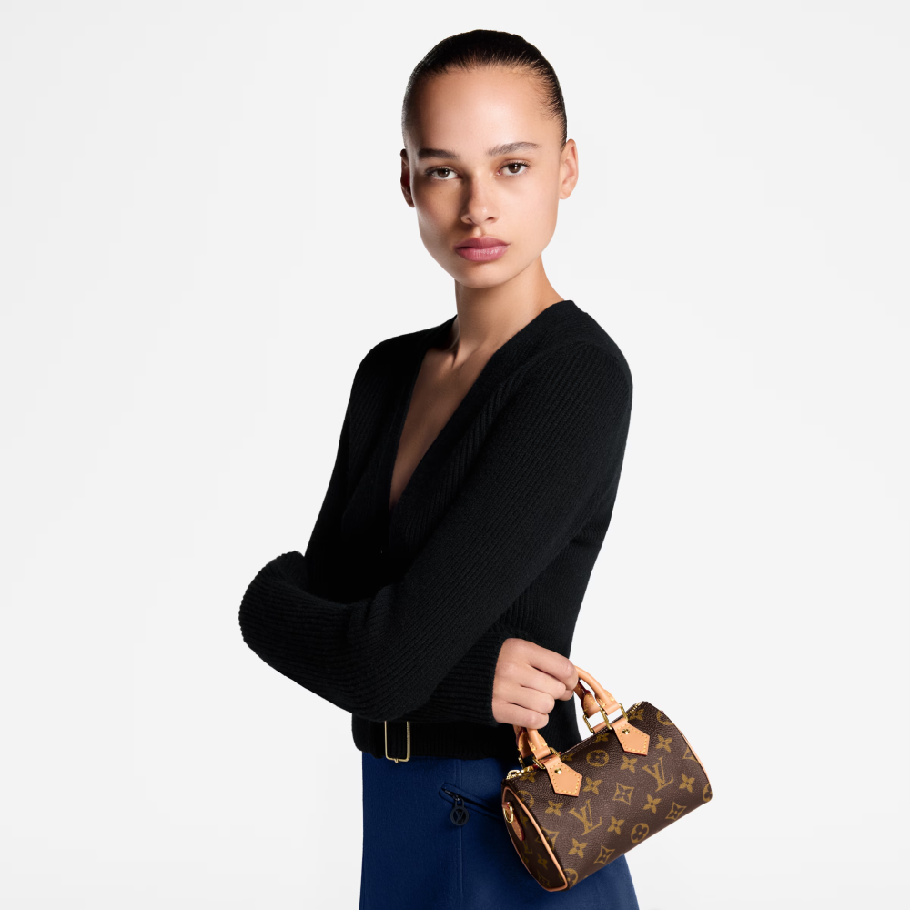 LV NANO SPEEDY Bag